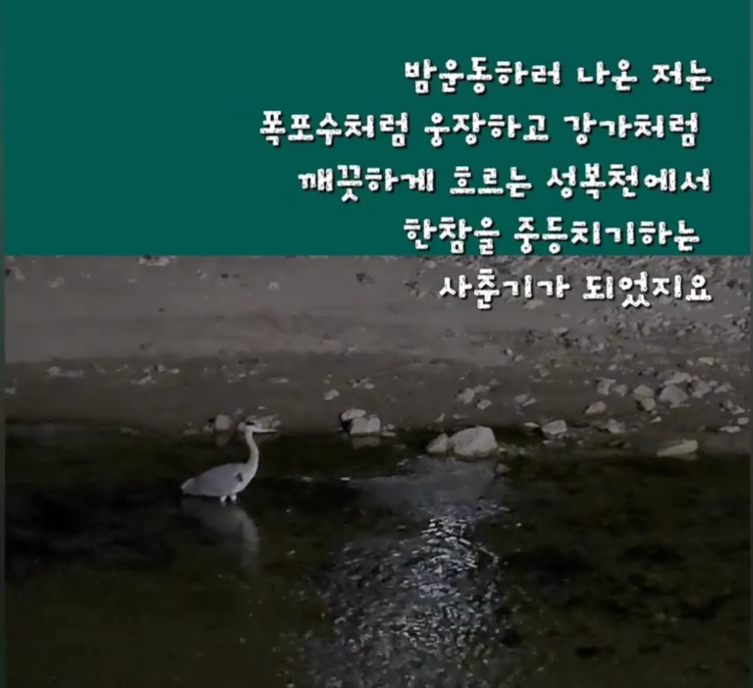 그대의힐링스토리 이미지