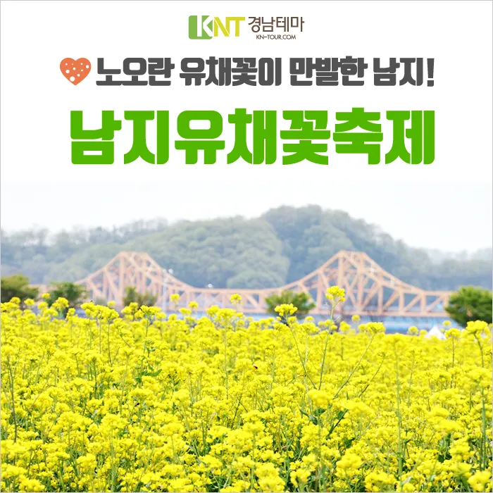 창녕 남지 유채꽃축제 일정 맛집 코스_6