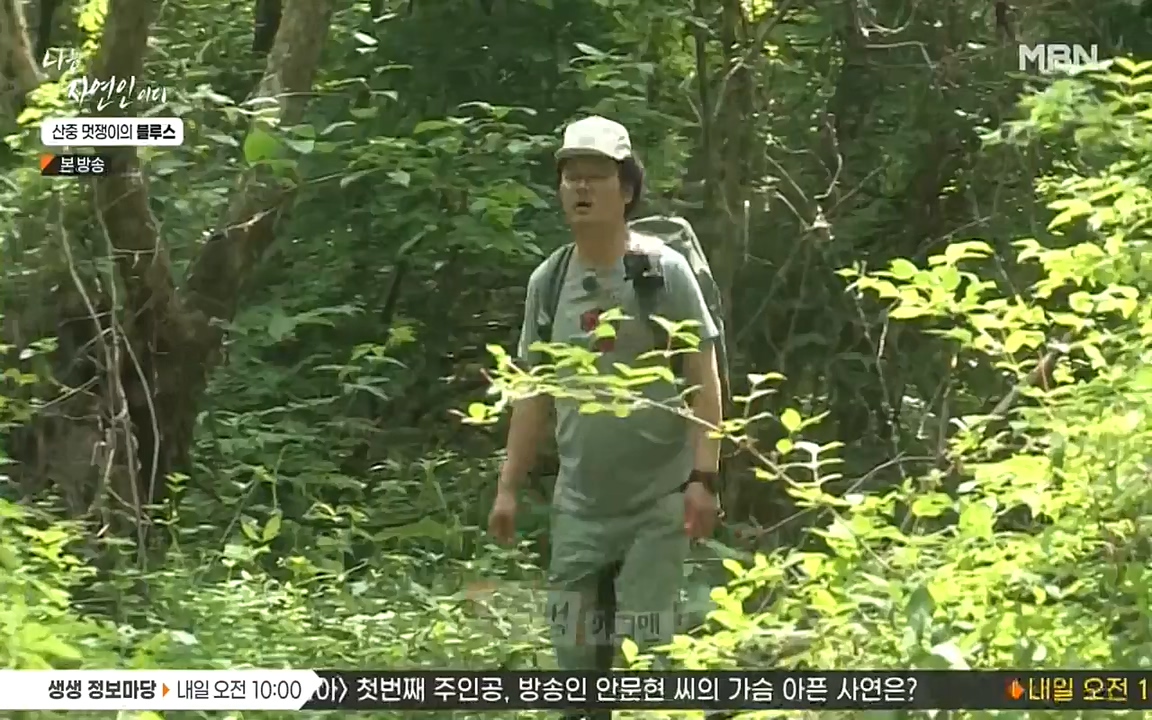 나는 자연인이다.E505.220609p-NEXT.mp4_20220609_200142.714.jpg