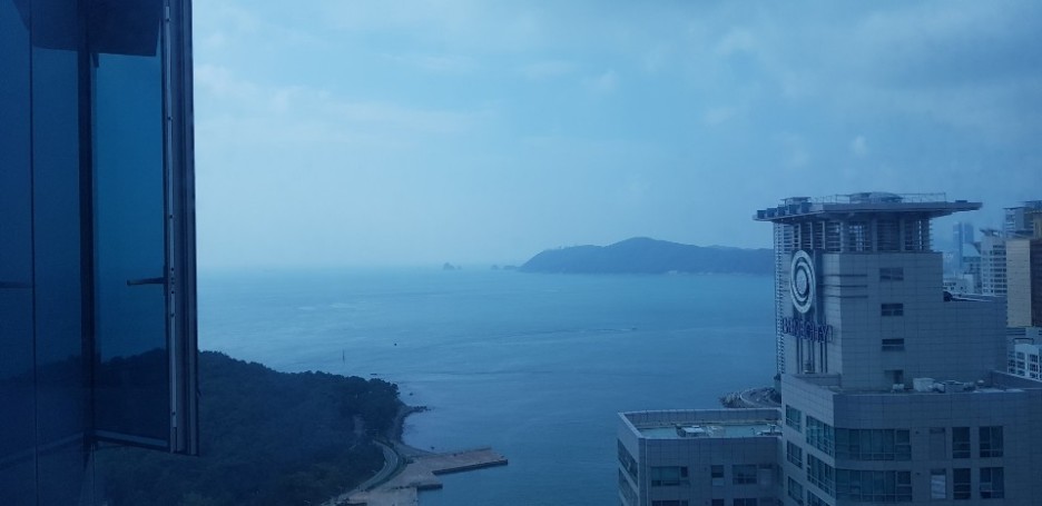 레쯔비 이미지