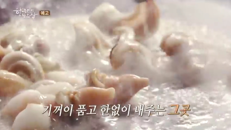 한국인의밥상-장흥-키조개-득량만-수문리-막걸리식초