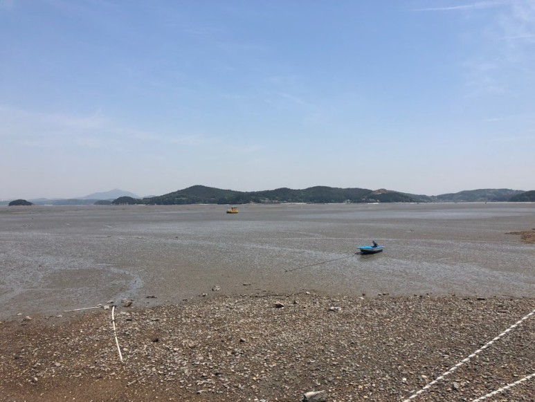 낙지한마당 이미지