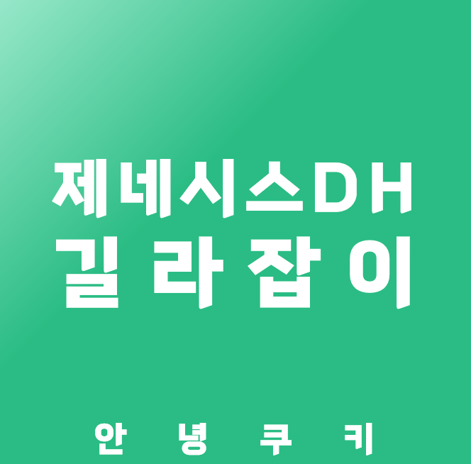 제네시스 DH 평균 보험료 비교표