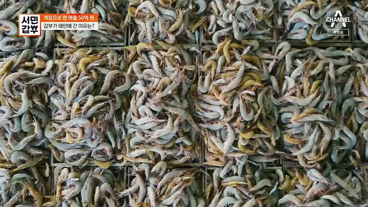 서민갑부.E411.221127p.H264-F1RST.mp4_20221127_173733.774.jpg