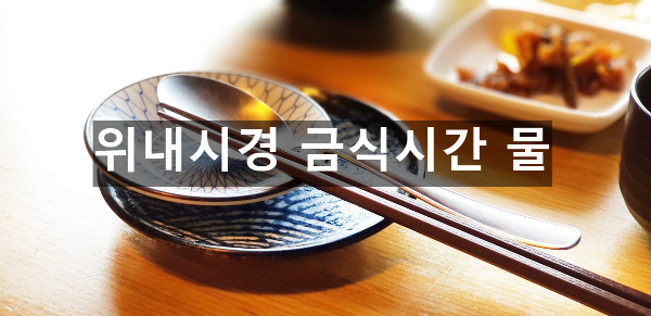  위내시경 금식시간 물
