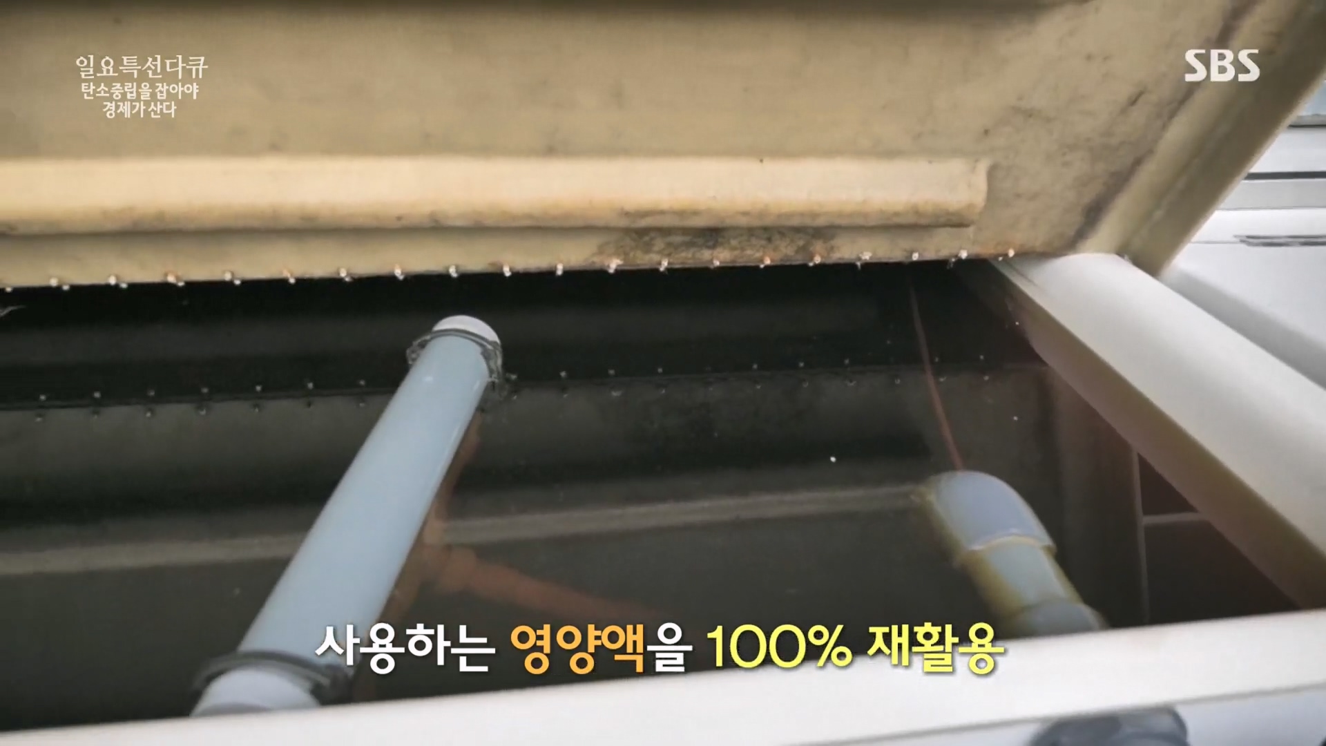 일요 특선 다큐멘터리.E320.230917p.H264-F1RST.mp4_20230925_202020.492.jpg