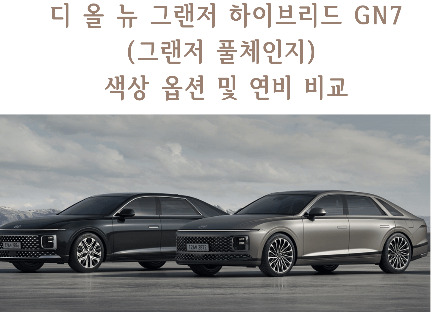  2023 그랜저 하이브리드 - 디올뉴그랜저 GN7 옵션정보 및 연비정보