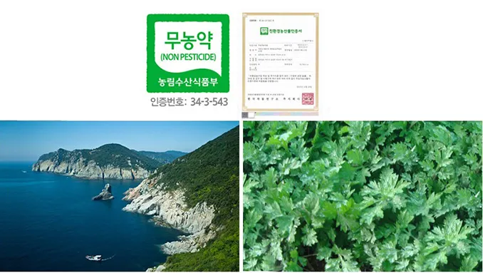 거문도 배편 시간표 예매 요금_6