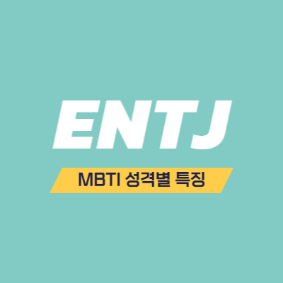 MBTI 성격 유형 특징 - ENTJ 특징 - 대담한 통솔자