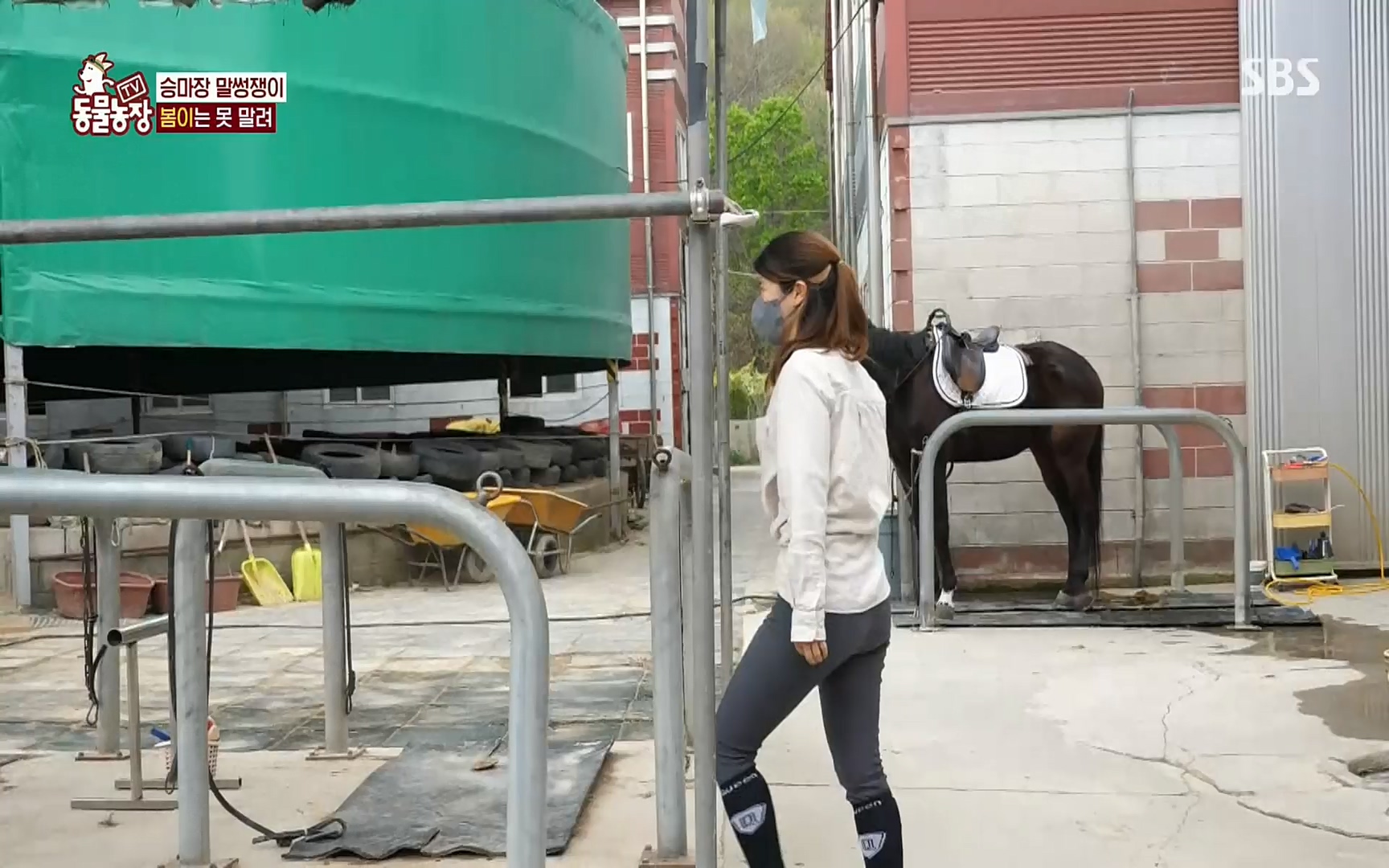 TV 동물농장.E1069.220515p.H264-F1RST.mp4_20220515_181233.852.jpg