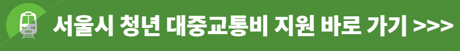 청년 대중교통비 지원 사업
