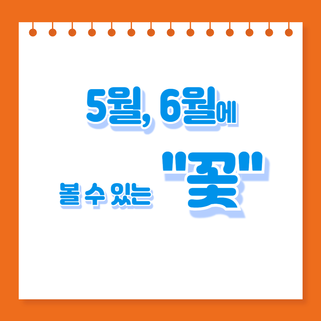 5-월-6-월-에-볼수-있는-꽃