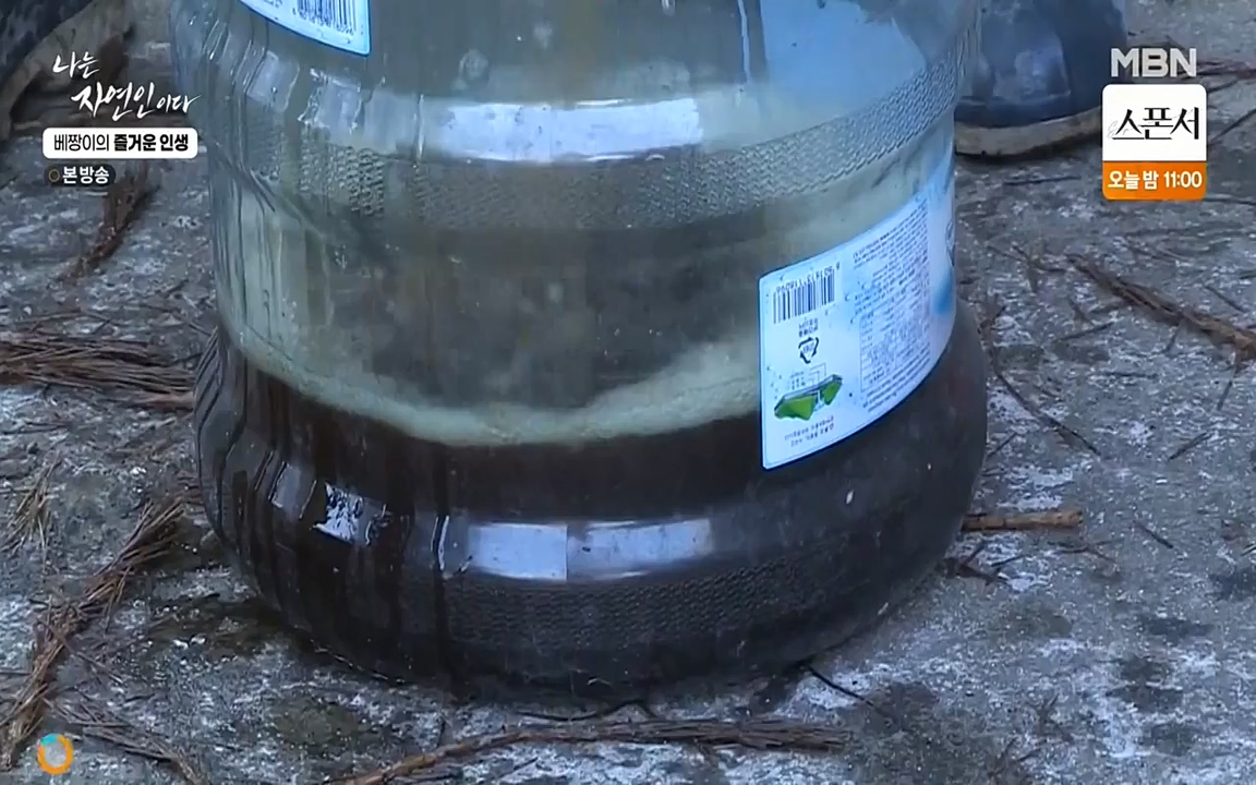 나는 자연인이다.E495.220331p-NEXT.mp4_20220331_174407.903.jpg