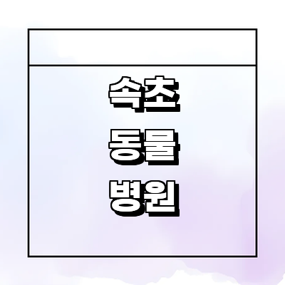속초시 동물병원