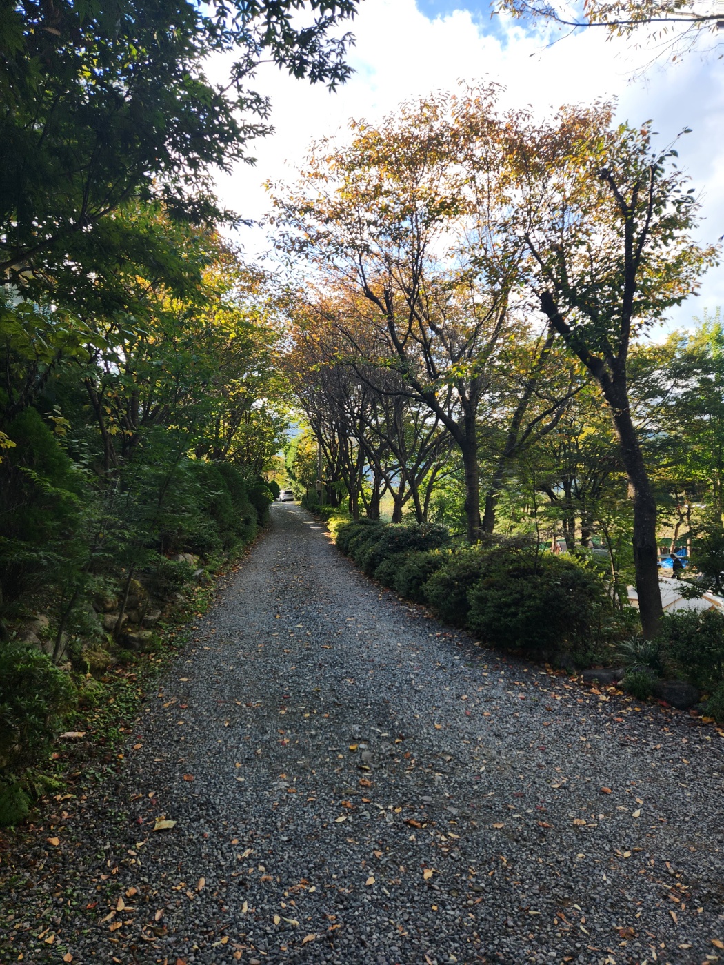 밀양 은하수캠핑 관광농원