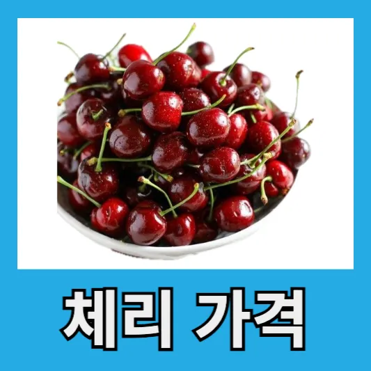 체리 가격