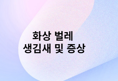 대표 포스터