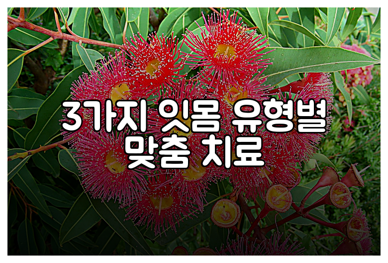 3가지 잇몸 유형별 맞춤 치료