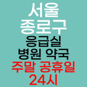 서울 종로구 주말 공휴일 약국 병원 응급실 찾기 토요일 일요일 야간진료 24시 영업시간