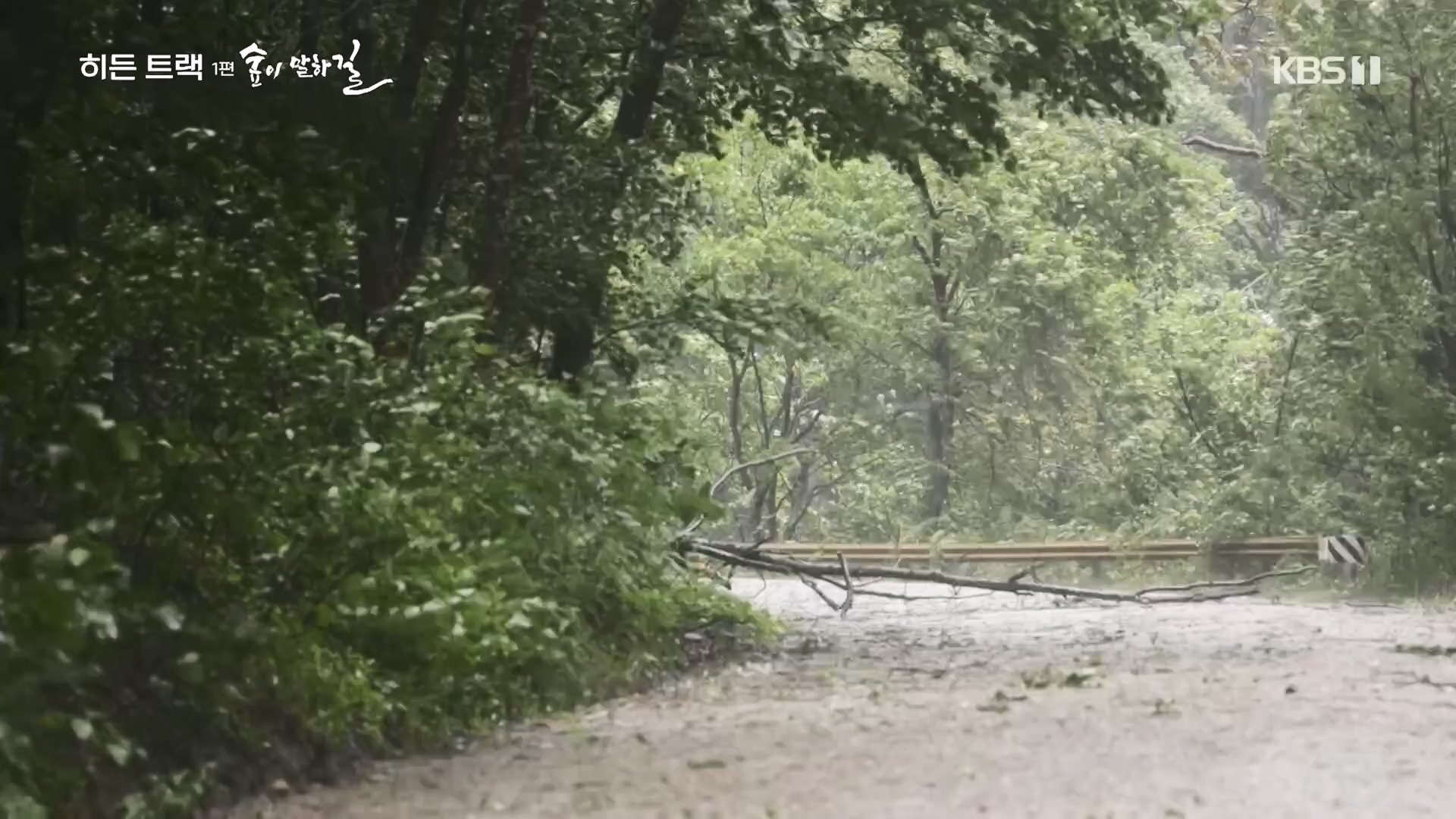 다큐 인사이트.E176.231214p.H264-F1RST.mp4_20231215_205446.722.jpg