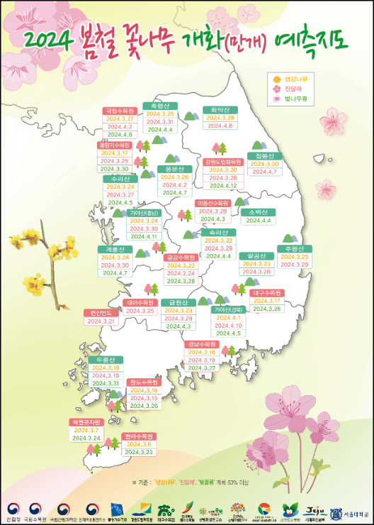 산림청 벚꽃 개화시기 안내