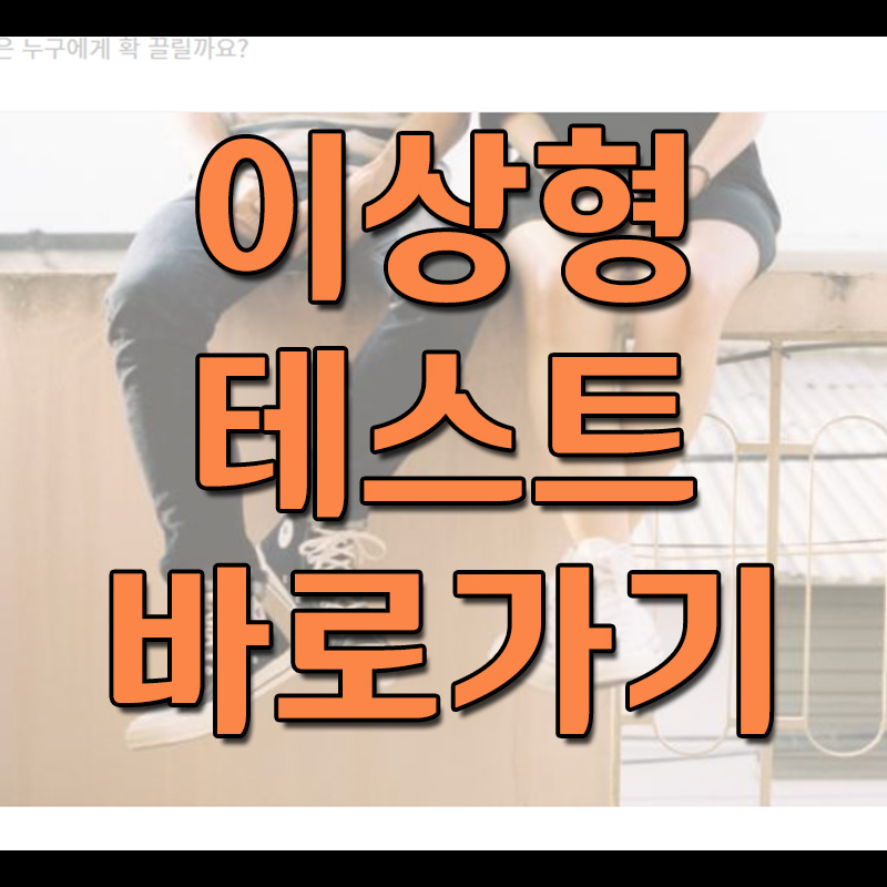  이상형 알아보기 심리 테스트