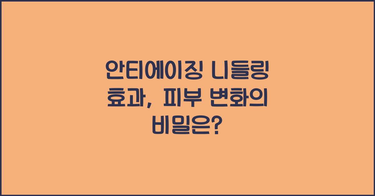 안티에이징 니들링 효과