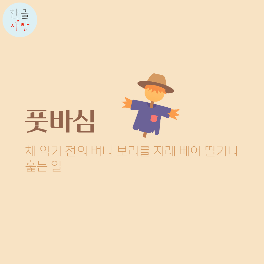  추수와 관련된 우리말 '풋바심'