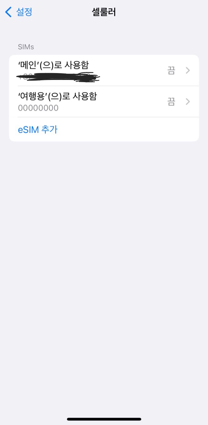 e-sim 설명 사진