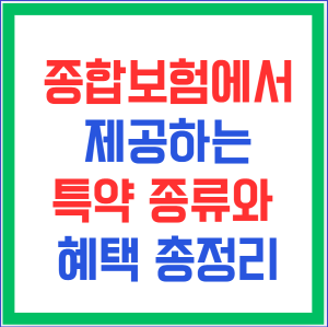 종합보험에서 제공하는 특약 종류와 혜택 총정리