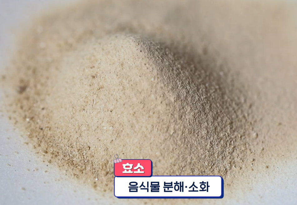 저분자 발효효소