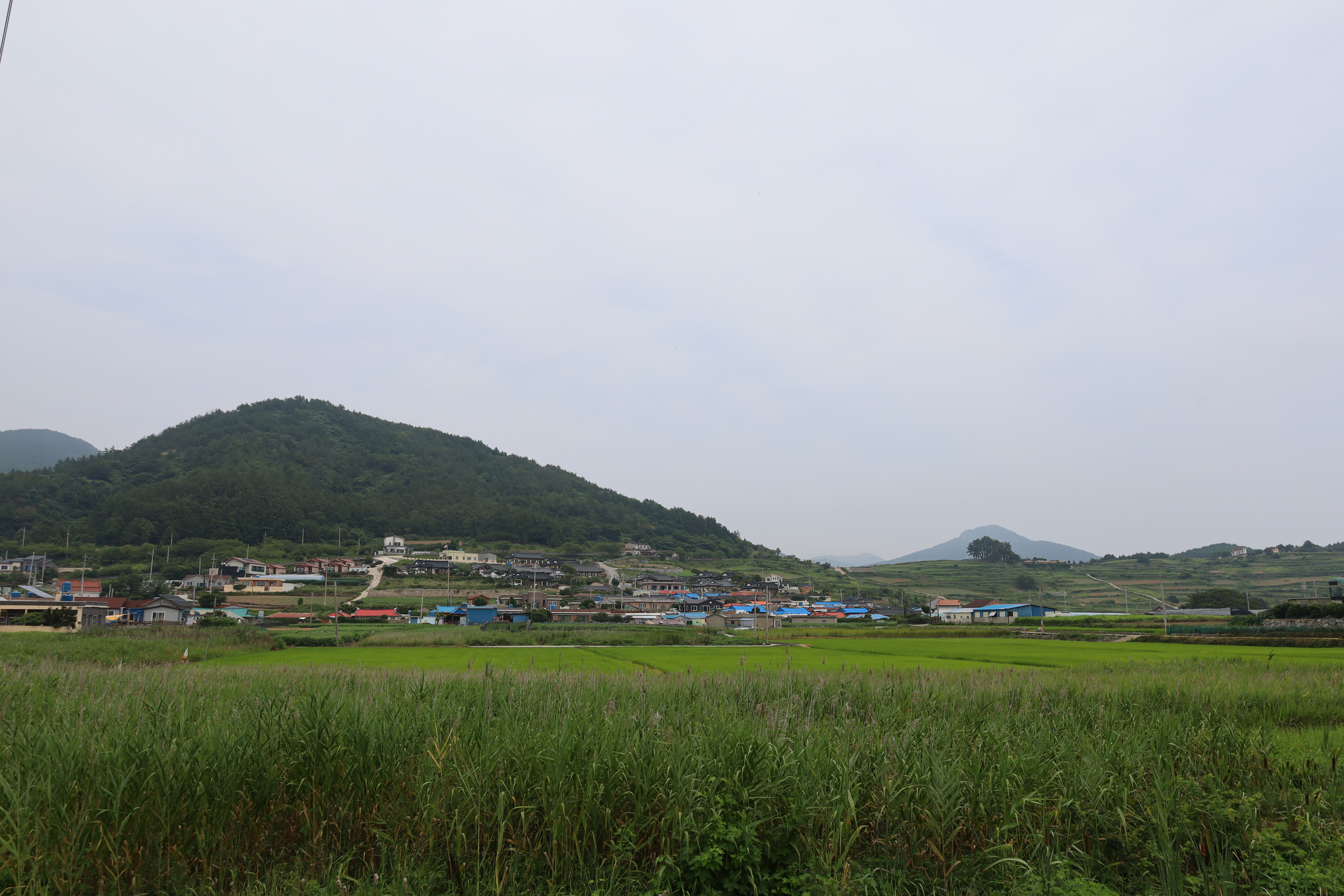  청산도 도락리마을 풍경