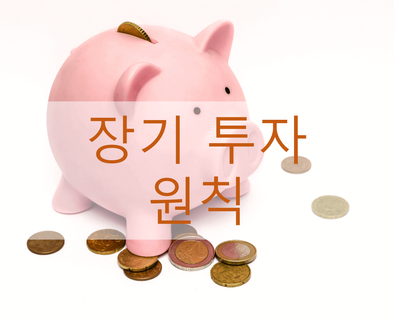  주식 장기 투자 원칙 | 어떻게 투자해야 할까?