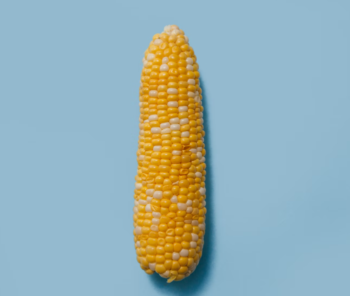 생초당옥수수