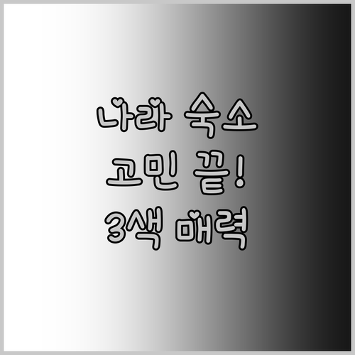 나라 숙소 고민 끝 3色 매력 호텔 