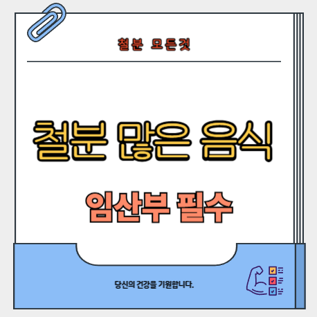 철분-많은-음식