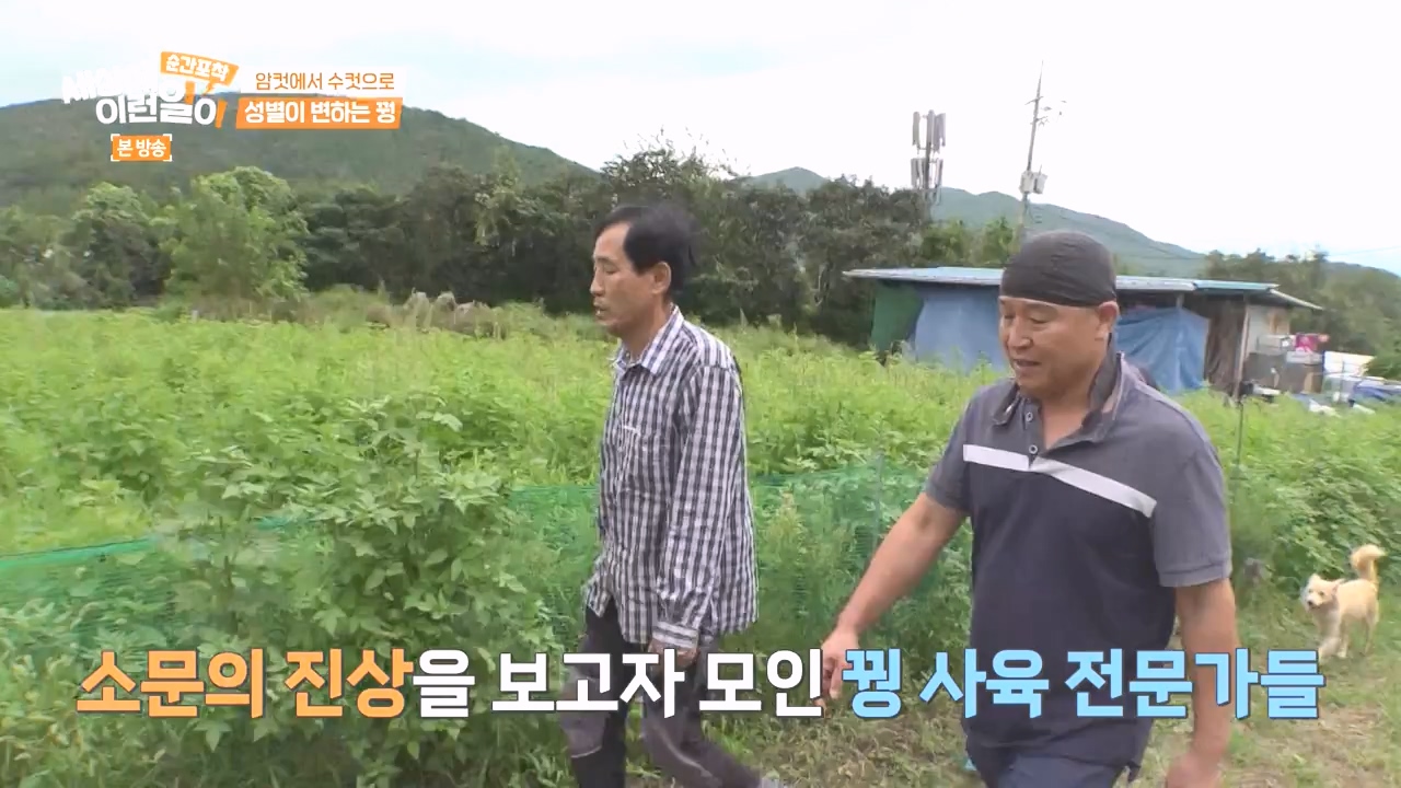 순간포착 세상에 이런일이.E1248.231015p-NEXT.mp4_20231015_164802.451.jpg