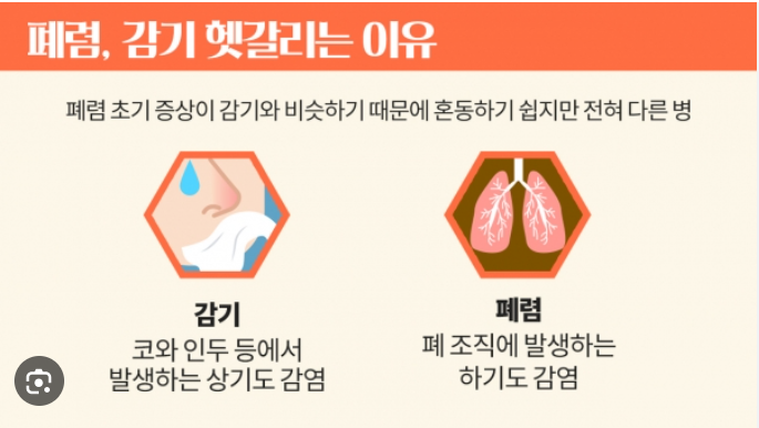 폐렴과 감기의 차이점