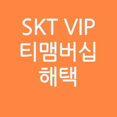 SKT VIP 티멤버십 혜택은 뭐가 있을까요??(fest.영화예매)