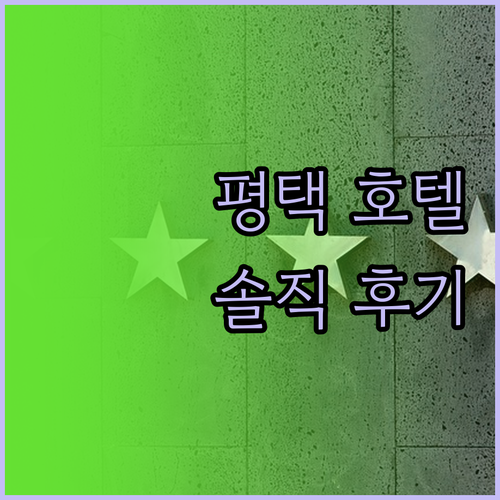 평택 호텔 추천 브라운도트 호텔 평택