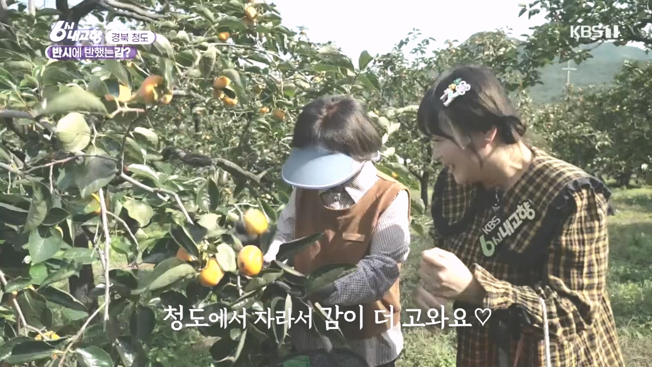 6시 내고향.E7896.231024p.H264-F1RST.mp4_20231024_204847.890.jpg