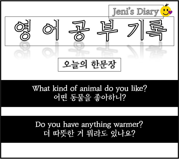  EBS English 영어공부 Day 13, What kind of~ do you like?