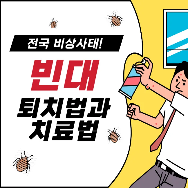 빈대-퇴치법-및-물린-자국-치료법