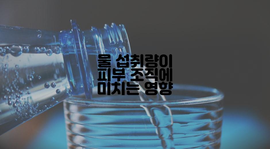 물 섭취량이 피부 조직에 미치는 영향
