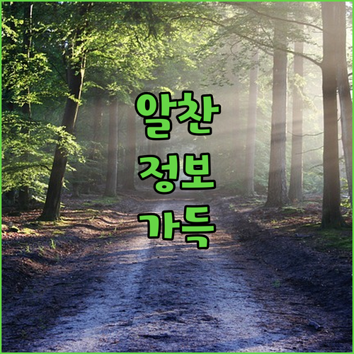 돈 무앙 호텔에서의 완벽한 하룻밤은 