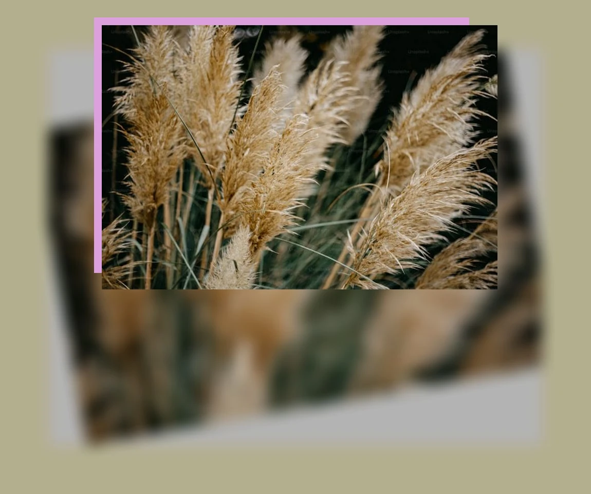 아마씨 효능_3_subsection