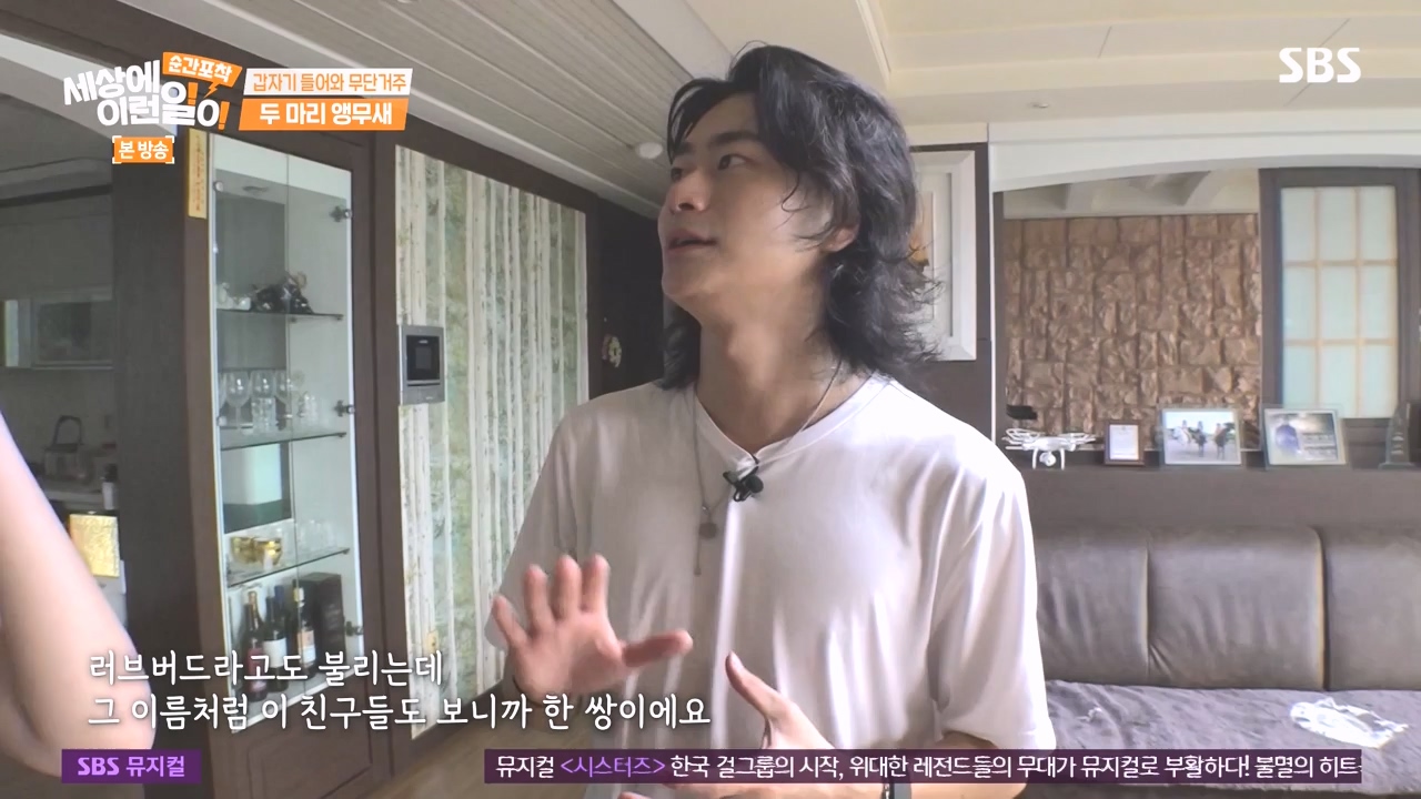 순간포착 세상에 이런일이.E1248.231015p-NEXT.mp4_20231015_164753.414.jpg