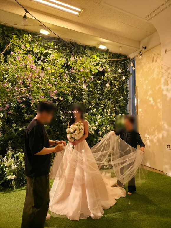 라망 이미지
