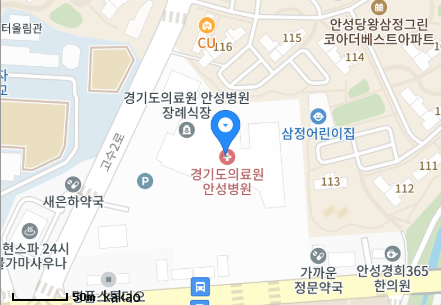 경기도 안성시 당왕동 일요일 진료 휴일 문 여는 병원