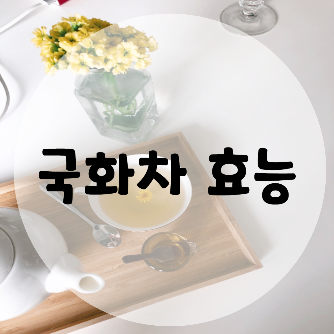  국화차 효능 7가지 알고 마시자